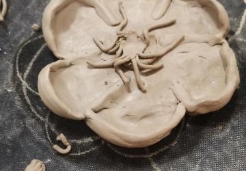 PODSUMOWANIE WRZEŚNIOWYCH WARSZTATÓW